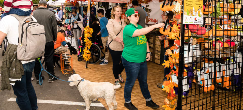 Apple Fest - Vendor Urban Pooch