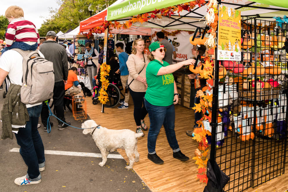 Apple Fest Urban Pooch