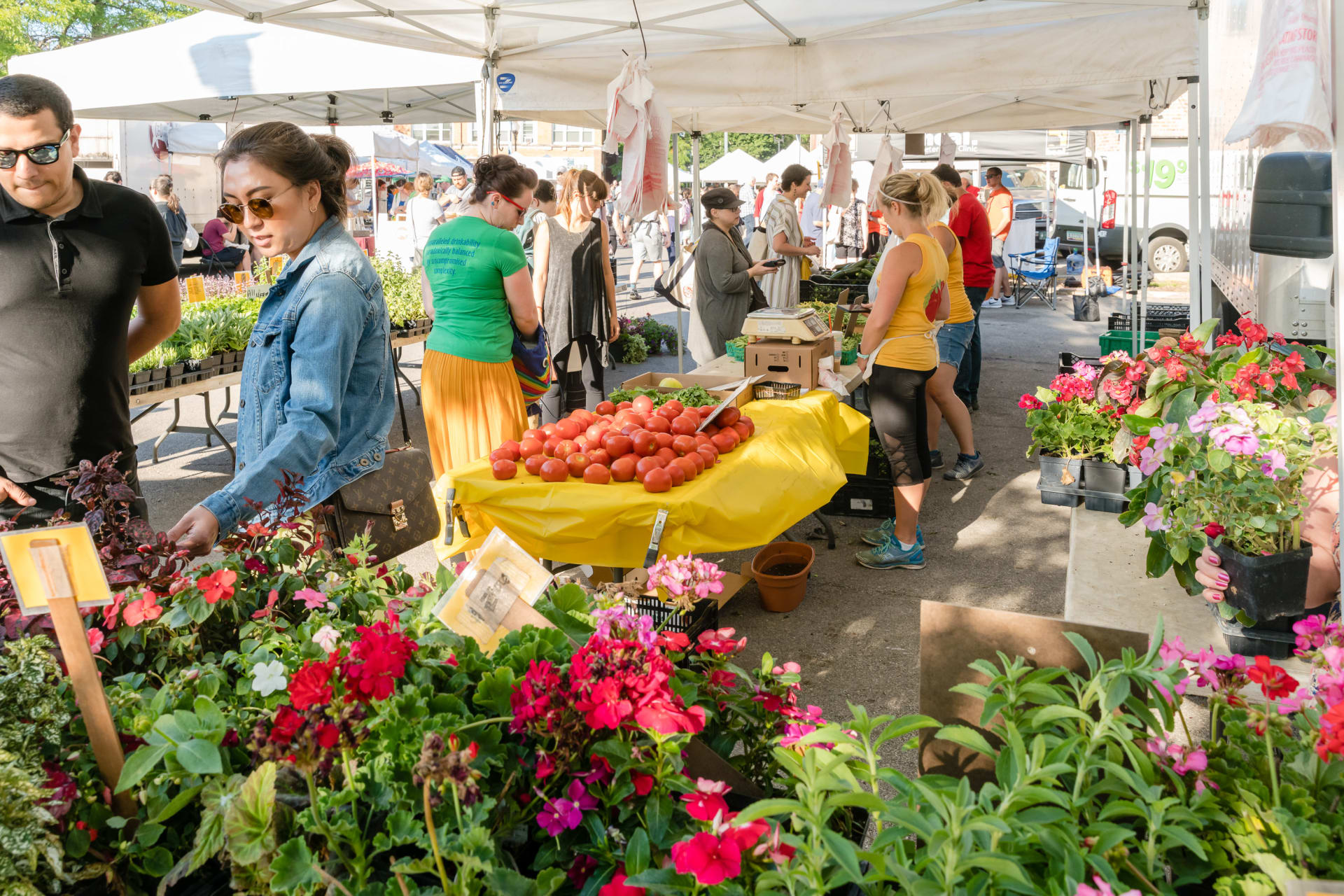 Lincoln Square Farmers Market Flowers and Produce