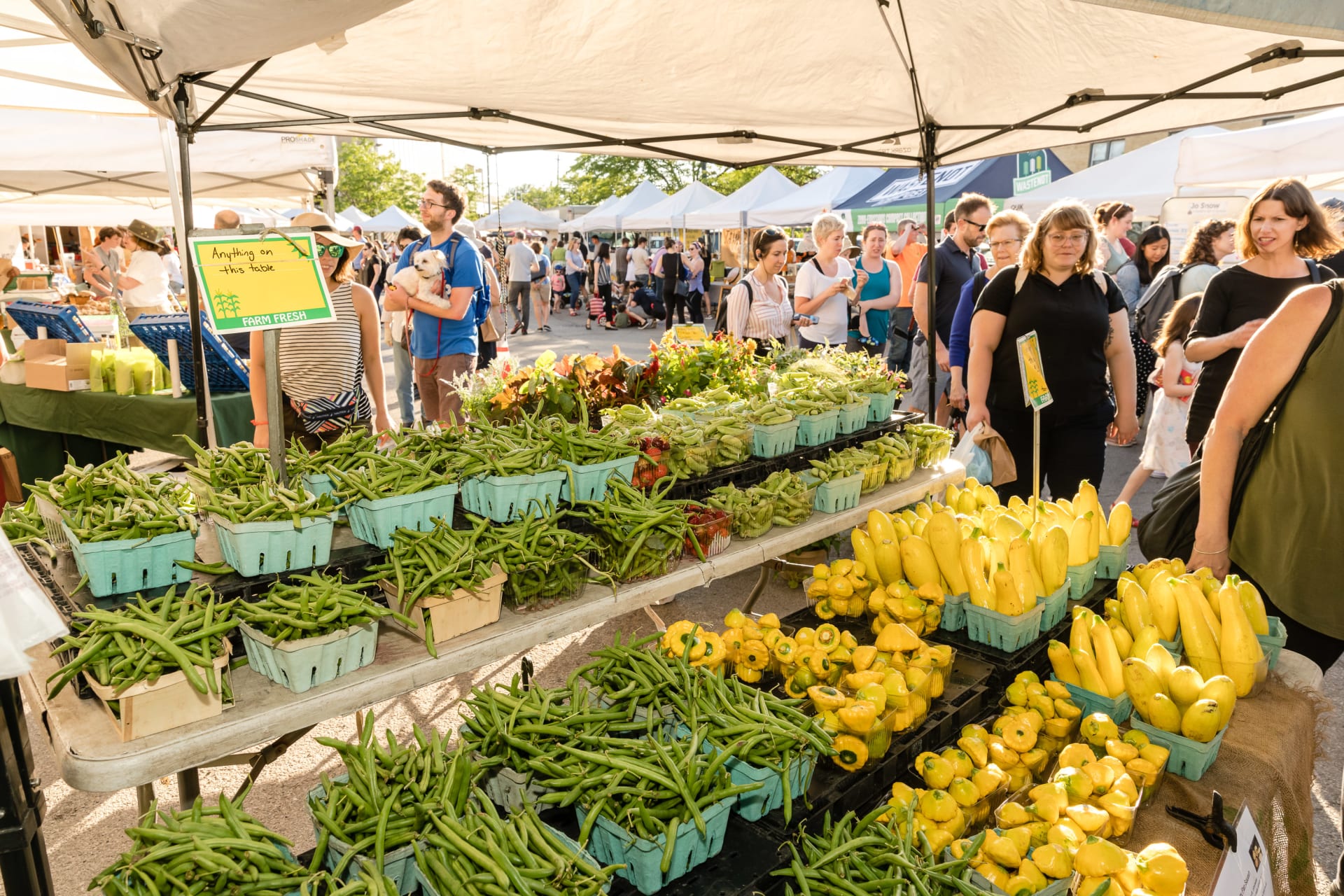 Lincoln Square Faremrs Market Produce