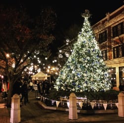 Giddings Plaza Christmas Tree