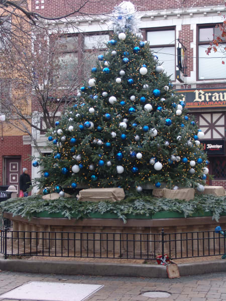 Giddings Plaza Christmas Tree