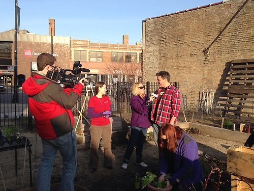 Community Garden - WCIU