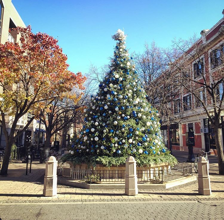 Giddings Plaza Lincoln Square Christmas Tree