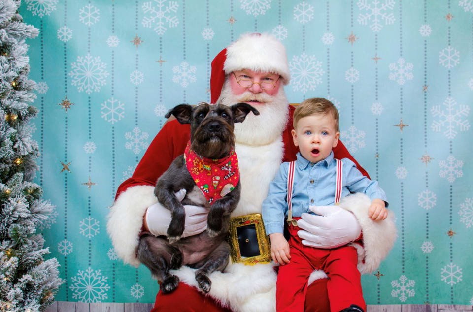 Pictures with Santa